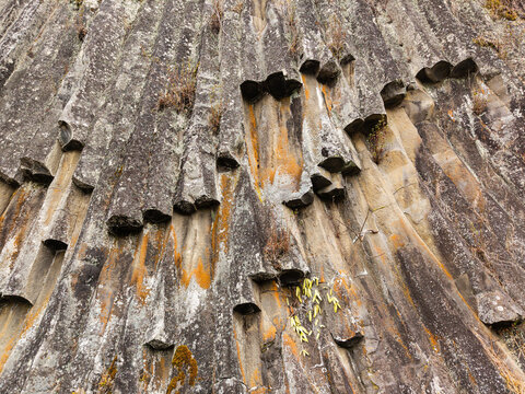 Columnar Jointing