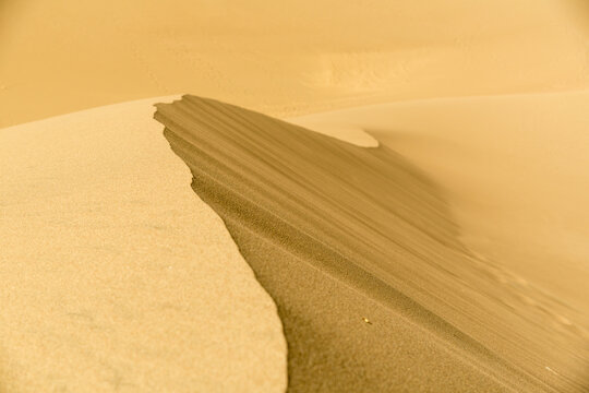 USA, Colorado, Great Sand Dune National Park.  The tallest sand dunes in North America, up to 750 feet (230 m) tall.  Covering an area of about 30 sq mi (78 km2)