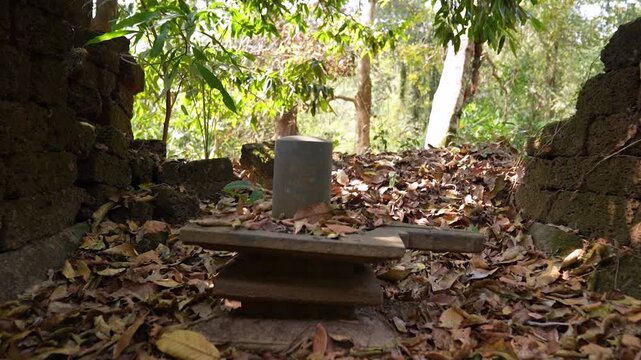 Ancient temple ruins in forest Karwar Karnataka India.Abandoned Hindu temple ruins in jungle with idols.