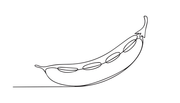 One continuous line illustration of an Peas vegetable, isolated on white background.
