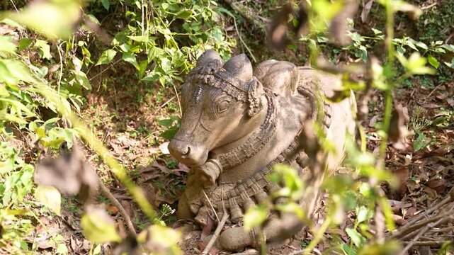 Close up of Nandi idol carved from stone.Stone sculpture of Nandi bull in temple ruins.