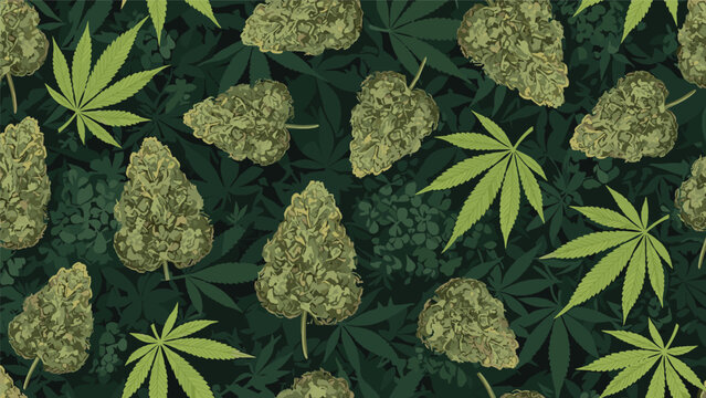 Seamless background pattern of green cannabis leaves and dried marijuana buds for medicinal herb and botanical research themed applications.