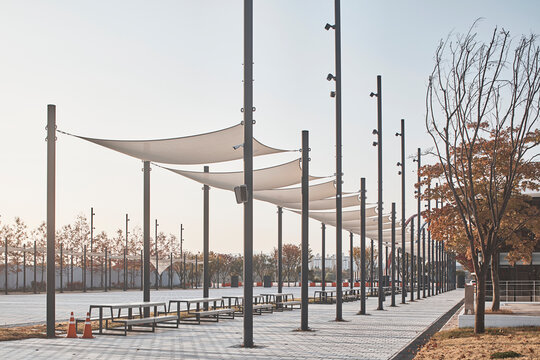 Tree lined public plaza with tensile shade structures in autumn landscape