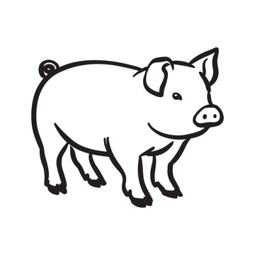 Wild Animal Pig Logotype Sign Isolated Graphic Design
