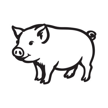 Wild Animal Pig Logotype Sign Isolated Graphic Design