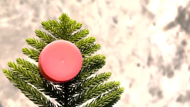 Top view of red round jar on green pine branch with bright background
