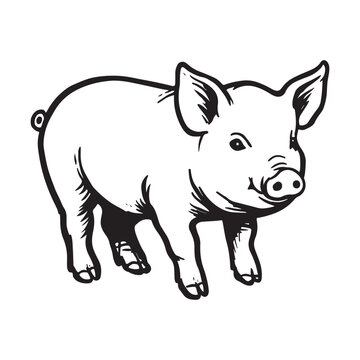 Wild Animal Pig Logotype Sign Isolated Graphic Design