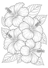 Fototapeta premium Hibiscus flowers cluster with detailed petals and leaves in elegant botanical arrangement coloring page