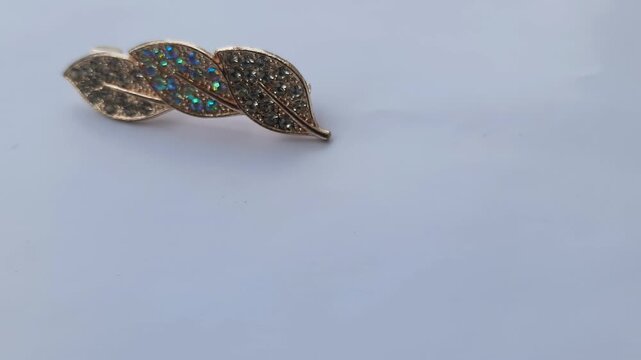 lizard on a blue background