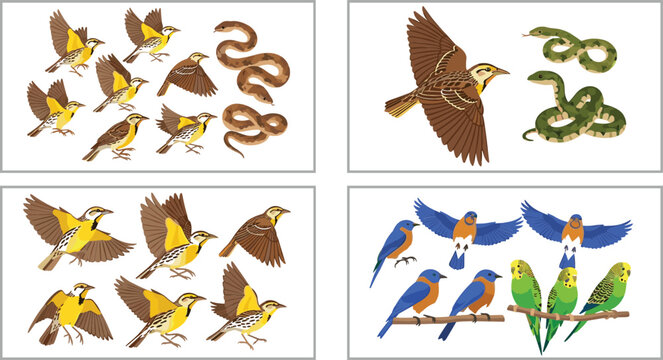 Wildlife vector illustration set with flying birds, sparrows, colorful parrots and budgerigars, and coiled snakes isolated animal collection