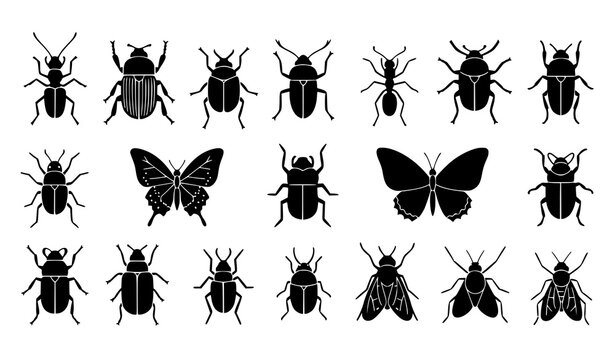 Bug silhouette icon set doodle insects biodiversity vector collection