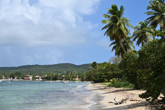 Plage de Saint Louis Marie Galante Guadeloupe