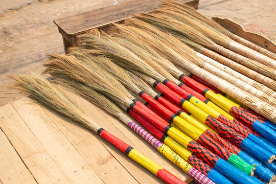 Dried Broom grass or Tiger grass, Nepalese broom grass or broom stick. It is called amliso in Nepali and jharu in Assamese and Bengali. phool jhadu in Hindi. Thysanolaena (Amliso plant).
