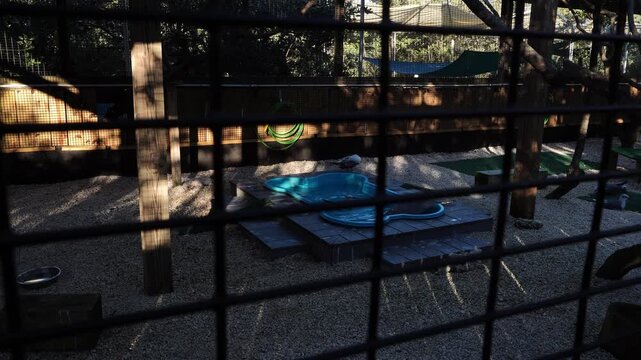 View through a metal fence of an outdoor animal enclosure featuring a small blue plastic pool on a wooden platform, surrounded by gravel and sun-dappled shadows.