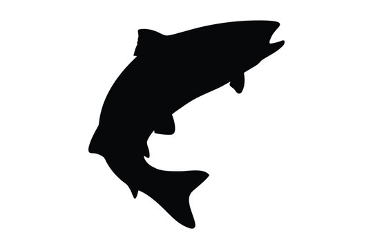 salmon trout silhouette vector, salmon silhouette, freshwater fish vector, fish tattoo