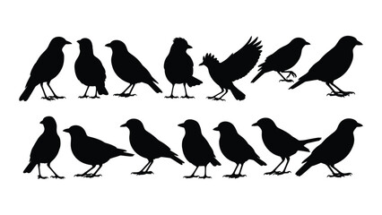 A collection of various bird silhouettes perched on a line showcasing different species and forms silhouette high quality professional detailed modern © JASMIN