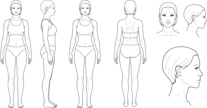 Male body anatomy outline vector illustration set: dotted line human figure views for medical, fitness & education, medical diagram, head profile, graphic element, human form, anatomical chart