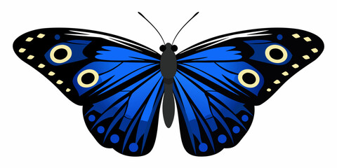 A vibrant blue butterfly with ornate patterns on its wings is shown © Rubel