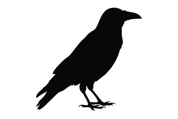 Crow raven bird silhouette vector, crow silhouette © Silhouette Lab