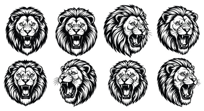 Collection of ferocious roaring lion head vector illustrations showing different angles and expressions