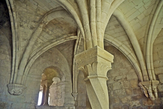 La Roque d'Antheron: interni dell'Abbazia di Silvacane, Luberon, Provenza, Francia