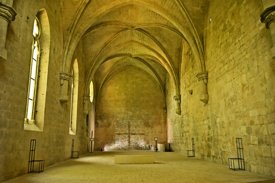 La Roque d'Antheron: interni dell'Abbazia di Silvacane, Luberon, Provenza, Francia