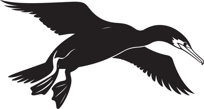 Black Silhouette of a Cormorant Bird in Flight