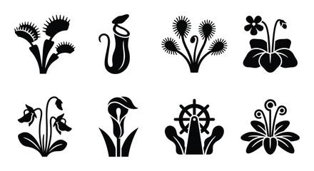 Carnivorous plants icon set vector illustration venus flytrap pitcher plant sundew butterwort cobra lily © GoDesigner