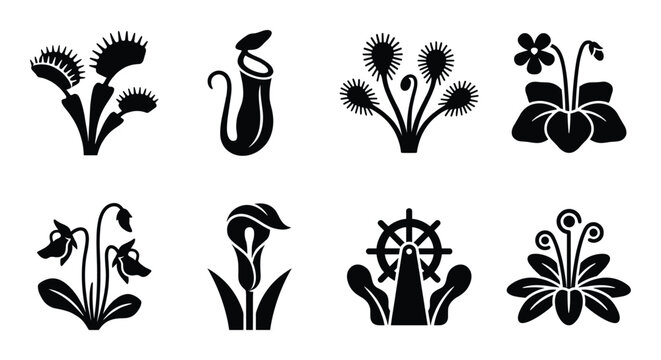 Carnivorous plants icon set vector illustration venus flytrap pitcher plant sundew butterwort cobra lily