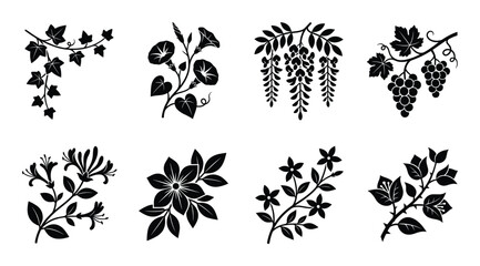 Floral branch and climbing plant ornaments set featuring ivy morning glory grape and jasmine motifs © GoDesigner