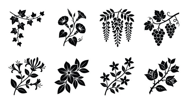 Floral branch and climbing plant ornaments set featuring ivy morning glory grape and jasmine motifs