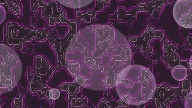 Close-up of purple cells with detailed patterns on a dark background