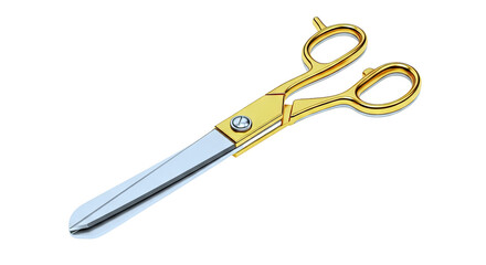 Obraz premium Luxury Gold and Silver Tailor's Shears