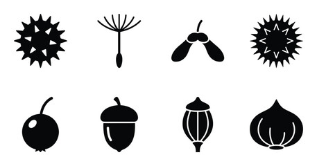 Botanical seeds and nuts collection including acorn dandelion chestnut and maple samara silhouettes © GoDesigner