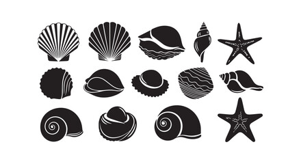 Collection of various black shells and starfish on white background © Vector Stock