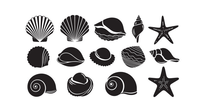 Collection of various black shells and starfish on white background