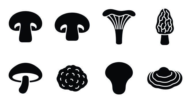 Mushroom set vector icons isolated on transparent grid background flat style food nature plants