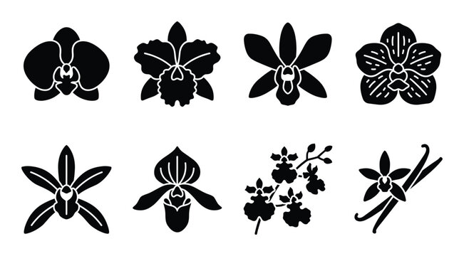 Orchid flower species silhouette icons collection featuring various tropical bloom shapes and petals