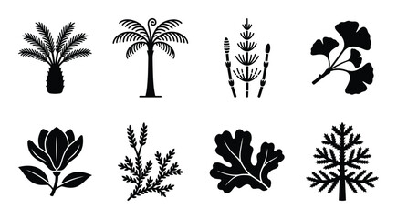 Prehistoric plant and ancient tree silhouettes including ginkgo biloba palm and magnolia flower set © GoDesigner