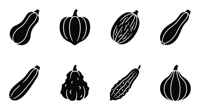 Squash gourds and pumpkins assorted varieties isolated on white background harvest food