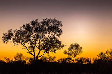 Night falls over the bush in the outback near Tennant Creek, Northern Territory, Australia © serge