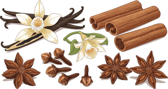 Realistic spice illustration set with vanilla flowers cinnamon sticks cloves and star anise detailed botanical elements isolated on white background