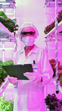 Researcher in protective gear inspects leafy greens in a vertical hydroponic farm under pink LED grow lights, holding a clipboard amid stacked shelves of plants.