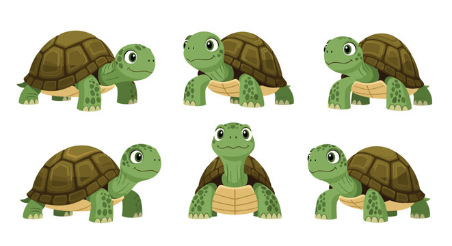 A set of colorful cartoon turtles in various poses on a white background