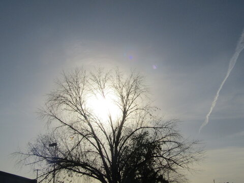 Sunlight