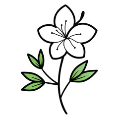 Obraz premium azalea hybrid flower line art with branch on white background