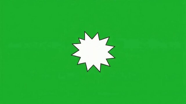 A vibrant green flag featuring a prominent white twelve-pointed star centered, representing a significant cultural and religious symbol.
