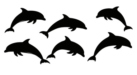 Several dolphins leaping and swimming depicted as a striking silhouette © Mdselim