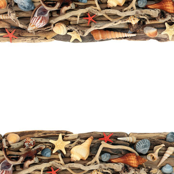 Driftwood seashell art rustic design background border on white. Seaside shell and weathered wood natural design. Coastal decor decoration.