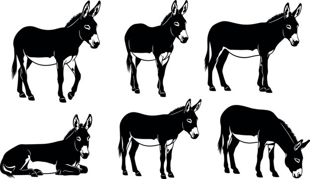 Black and white donkey silhouette vector set featuring farm animal illustrations in various poses like standing walking grazing and sitting
